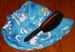 hat & brush