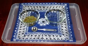 soup pea scoop transfer