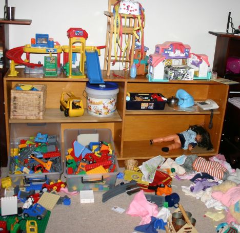 Perhaps the mess is driving you insane. Find a home organisation book, train your children to do chores and de-clutter!