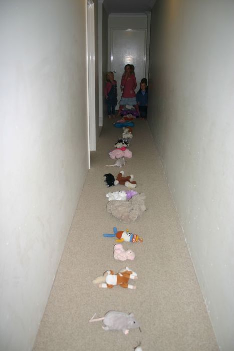 teddy fly ready to start IMG_0291